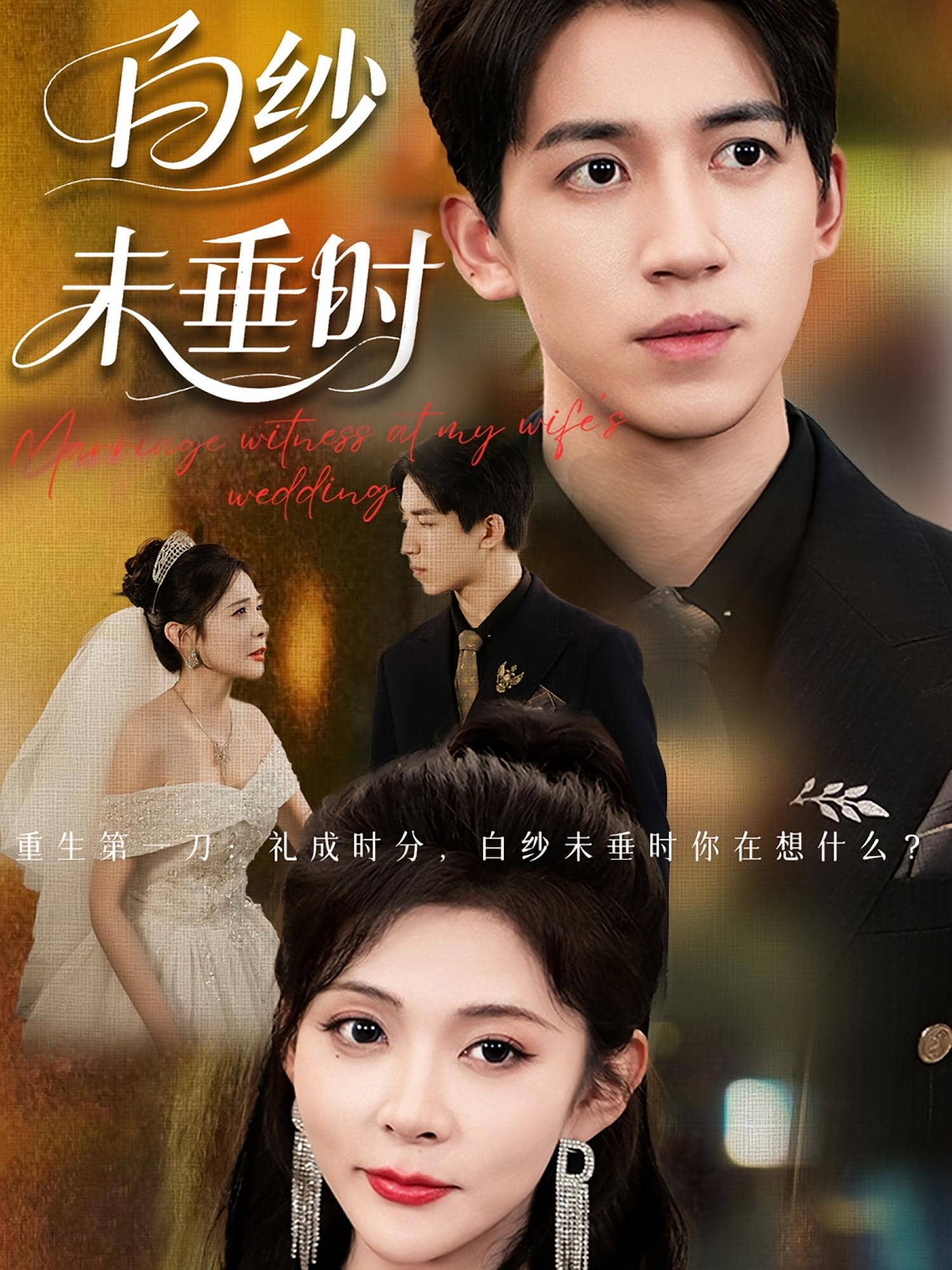 老婆婚礼我当证婚人第20集
