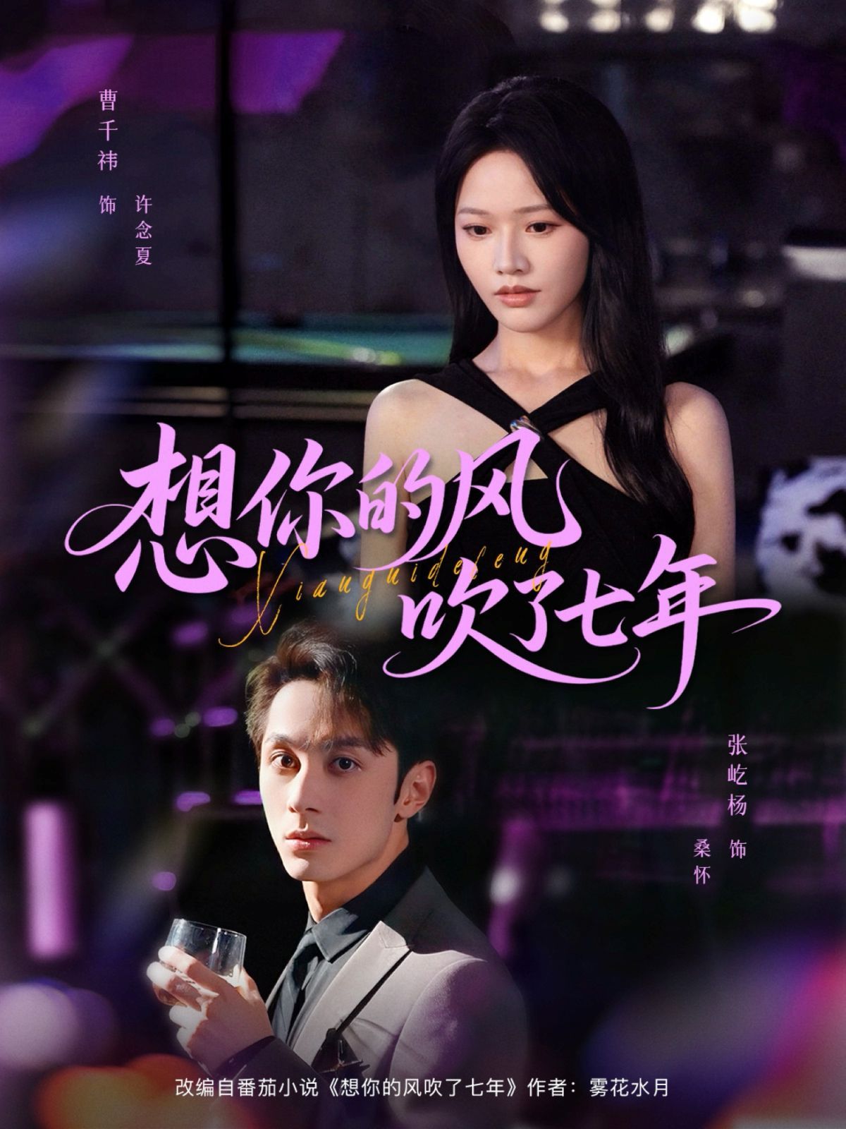想你的风吹了七年(全集)