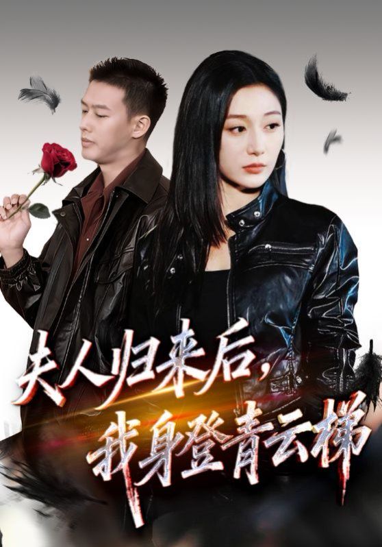 夫人归来后我身登青云梯(全集)
