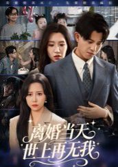 离婚当天世上再无我(全集)