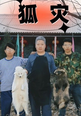 狐灾(全集)