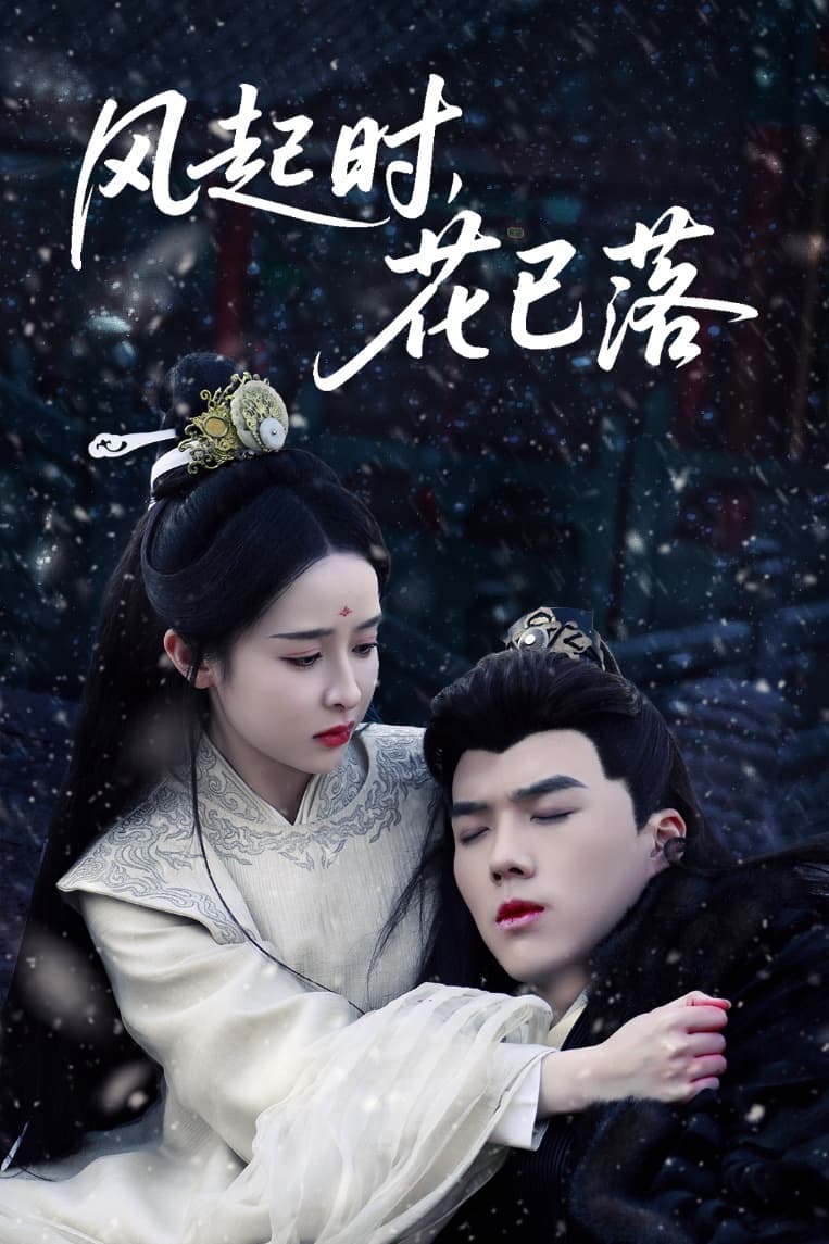 风起时，花已落(全集)