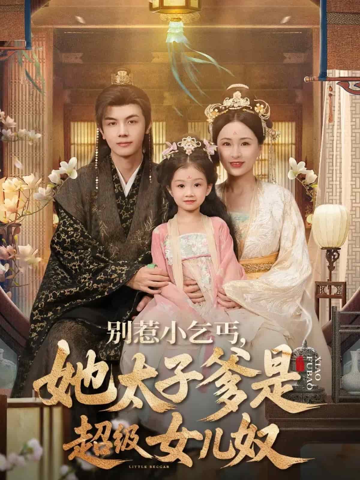 别惹小乞丐她太子爹是超级女儿奴(全集)