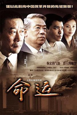 命运(全集)